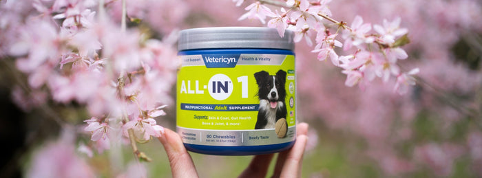 jar of vetericyn all-in dog supplements in front of pink floweres
