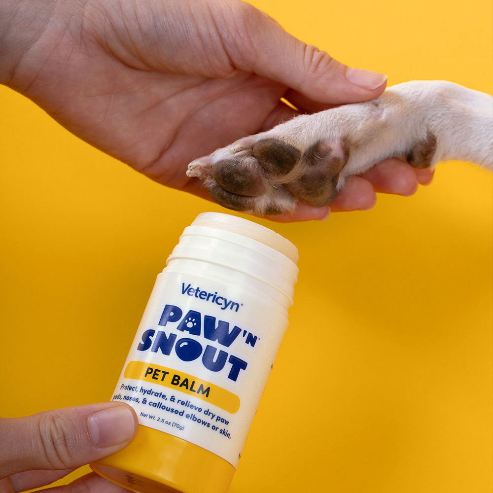 A woman holds Paw n Snout pet balm next to a dog's paw