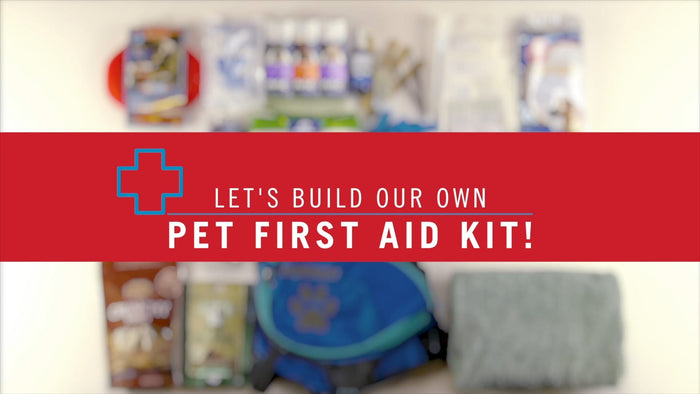 Video: Let's build a pet first aid kit!