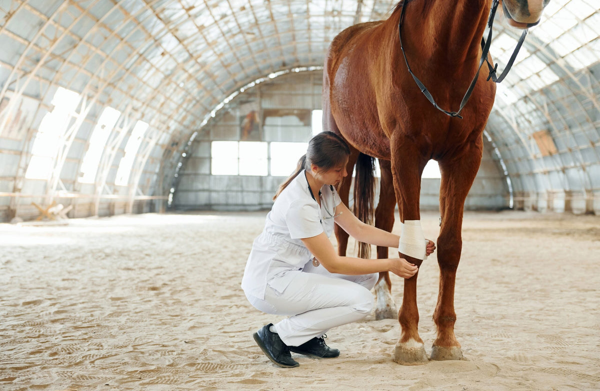How to Treat an Open Wound on a Horse