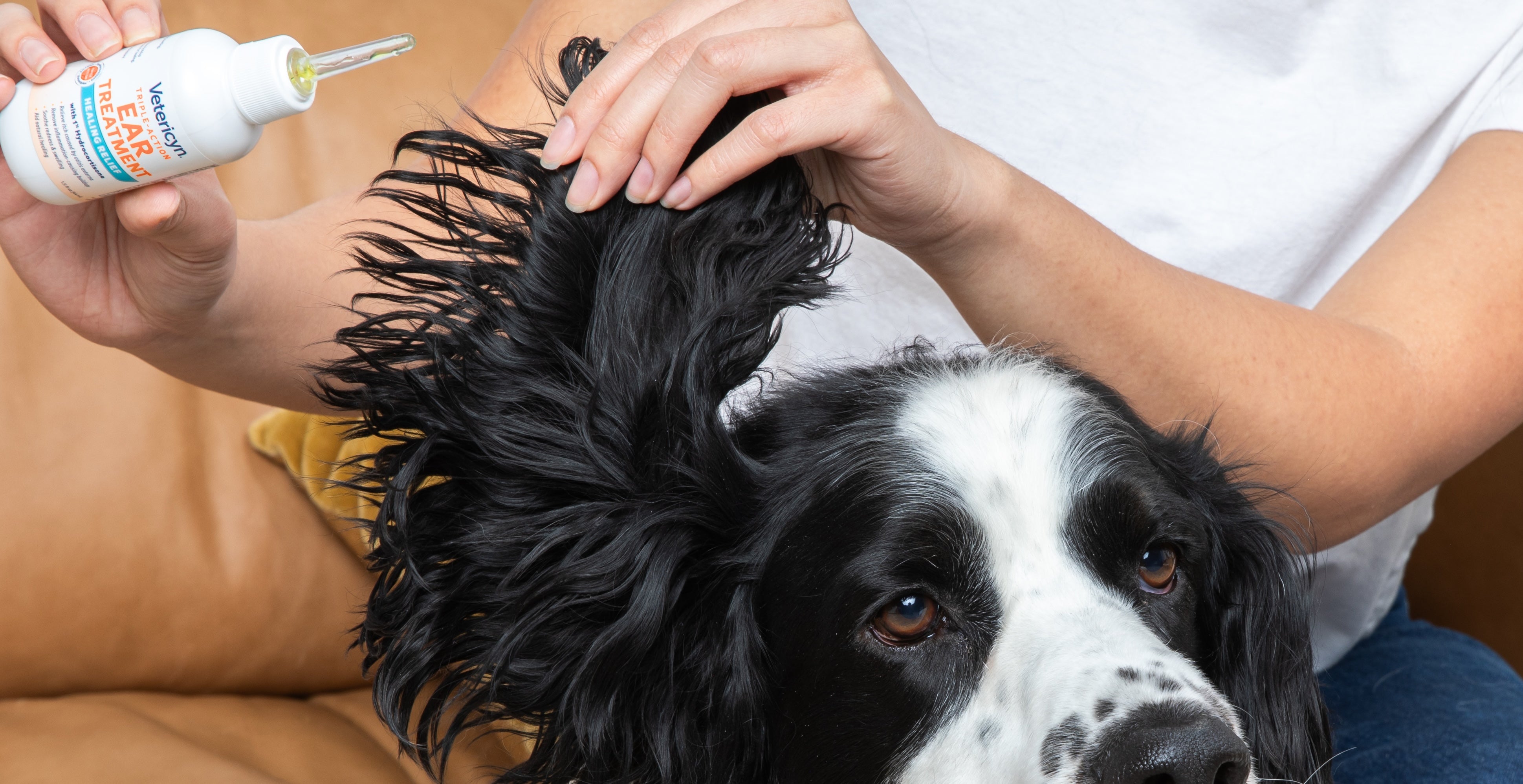 How to Treat a Dog Ear Infection Without a Vet – Vetericyn