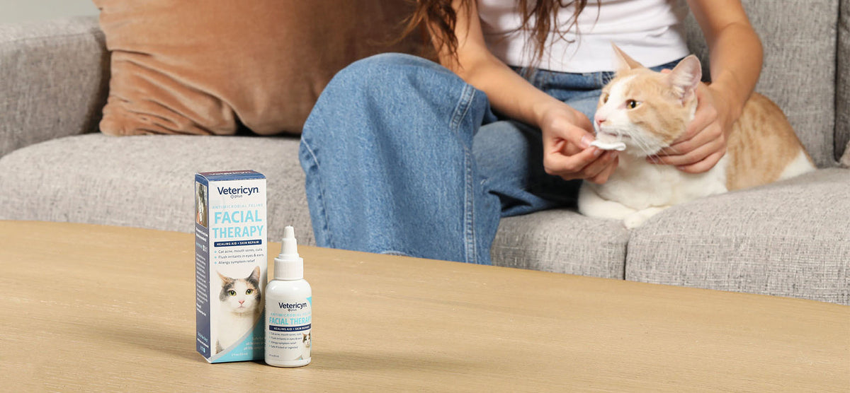 A woman uses Vetericyn cat care product on her cat