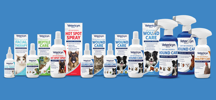 Vetericyn wound care bottles against a blue background