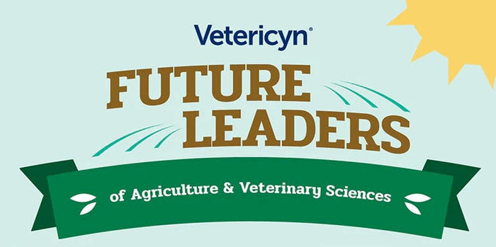 2024 Vetericyn  Scholarship Winners