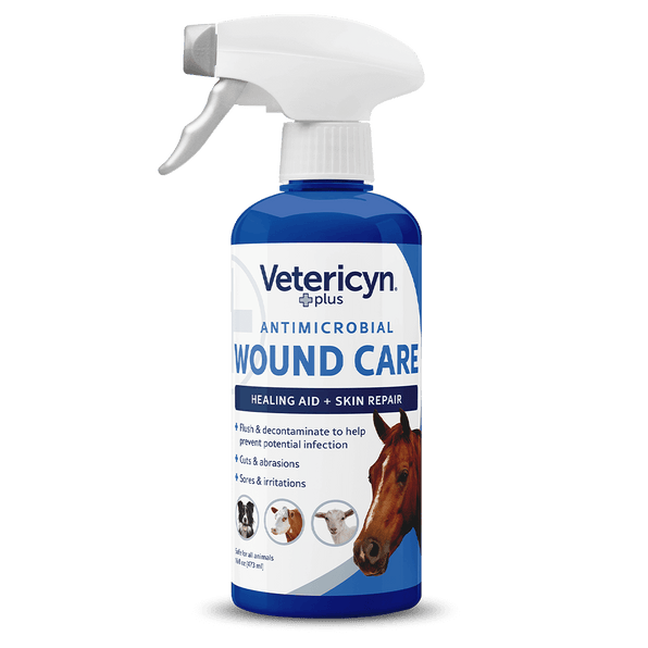 Horse Care – Vetericyn Animal Wellness