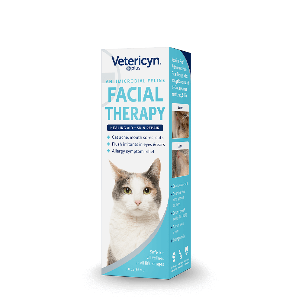 Antimicrobial Feline Facial Therapy – Vetericyn