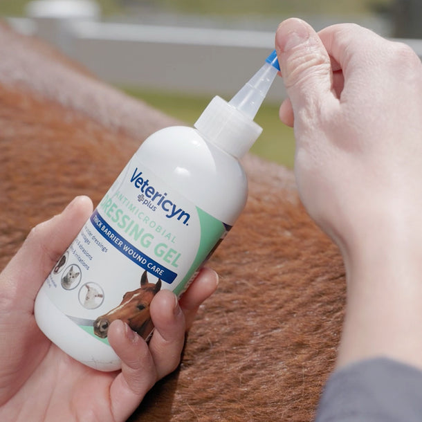 Vetericyn Review Vetericyn Plus® Antimicrobial Dressing Gel – Vetericyn