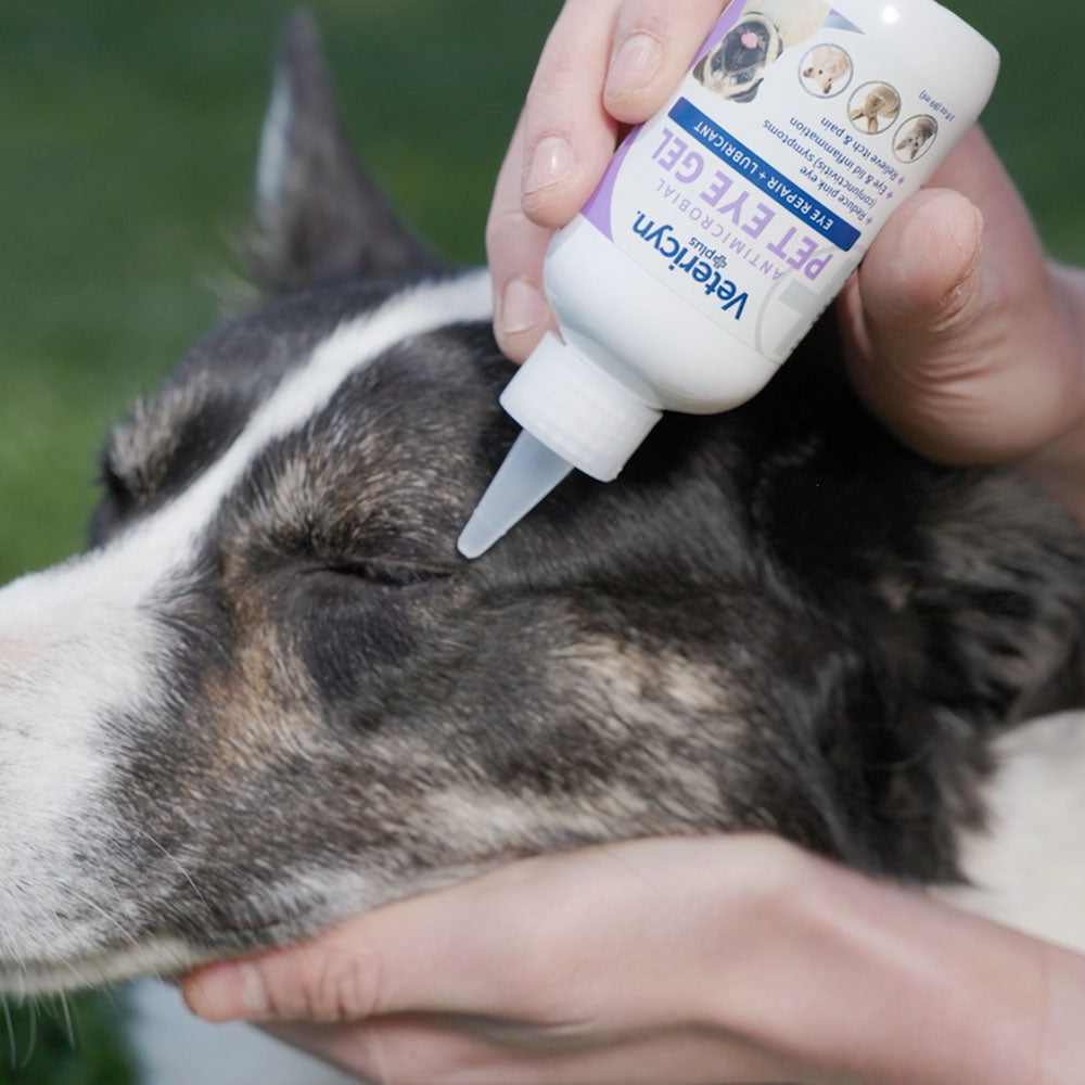 Vetericyn Plus Antimicrobial Pet Eye Gel Vetericyn Plus Antimicrobial Pet Eye Gel