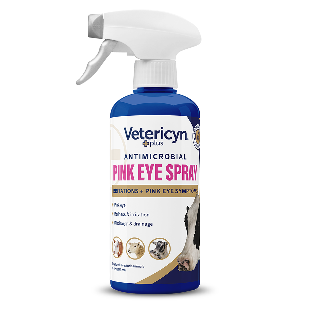 Pet Eye Drops for Irritated & Dry Eyes  Vetericyn