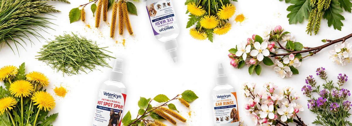 Animal Wellness – Vetericyn