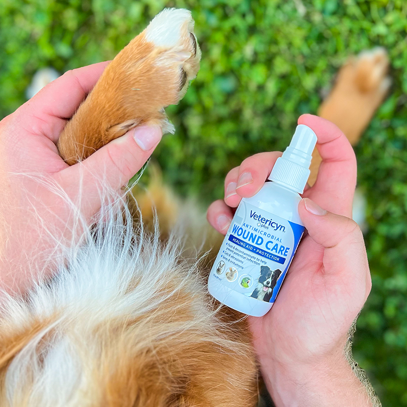 Vetericyn Review All Animal Antimicrobial Wound Care Spray – Vetericyn